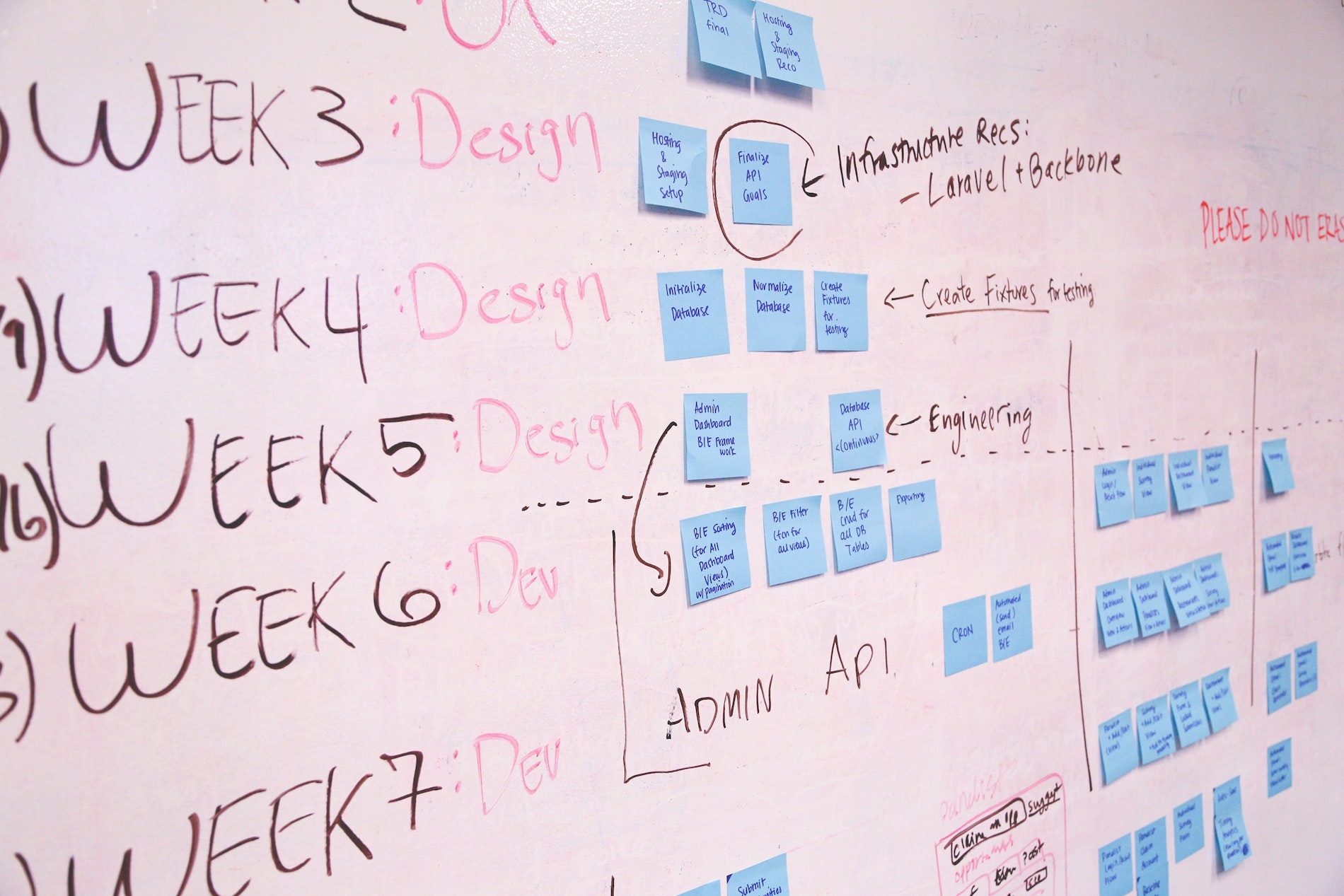 Project manager